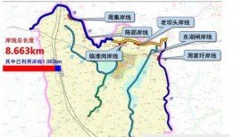 六安第一网红大黑哥,从田间地头到网络红人的逆袭之路